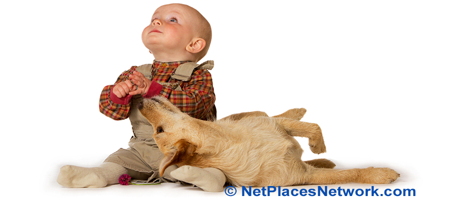 Dogs were the first animals to bond with humans.