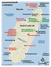 THE COTON de TULEAR ORIGINATED IN MADAGASCAR