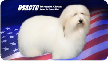 HISTORY OF THE COTON de TULEAR courtesy of USACTC