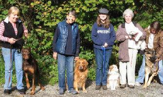 Coton de Tulear Nose work- Scent working Coton dog
