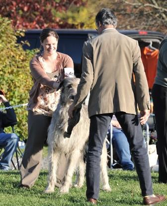 Locust Grove Best Hunting Type class judging.
