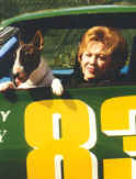 Fran Milteer and her Miniature Bull Terrier lovin' the fast lane!