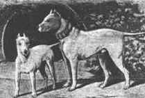 The MBT is a fun loving, kindly gentleman.