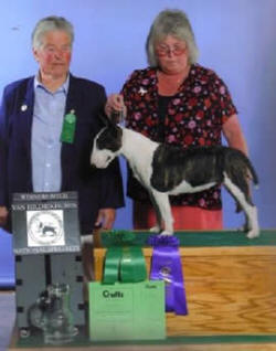 VIP'S Pocket Change O'BJ - Fran Milteer