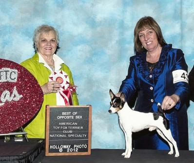 GrCh Barbaru Timbuctoo was BOS to his kennel mate at the National Specialty show