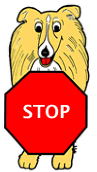 Toy Fox Terrier Health Certification - Stop The Fraud