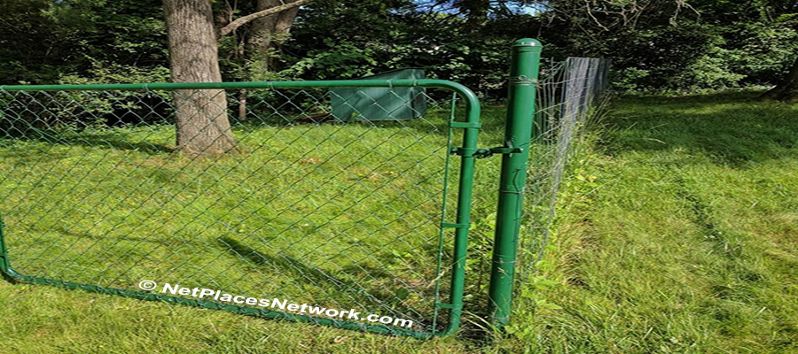 Practical reasons for a fenced yard and sensible fencing options if you are a renter or have a small breed, plus the shocking truth on ELECTRIC or INVISIBLE fences.