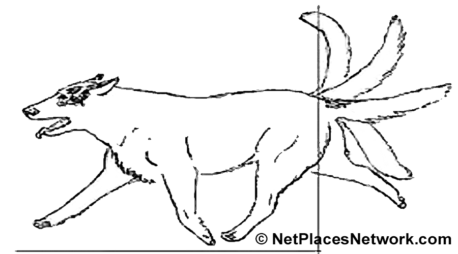 There are several types of tail wagging. It is really helpful to dog owners if they can understand what the dog is saying to you. The way he wags his tail can tell you the mood of the moment, and let you be on alert as to the frame of mind of your furry friend.